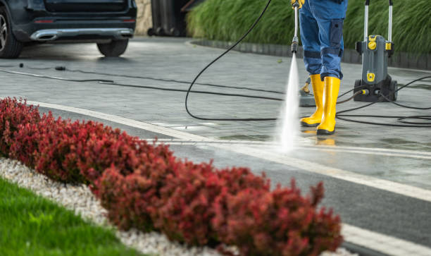 Best Fence Cleaning and Maintenance in Sterling, VA